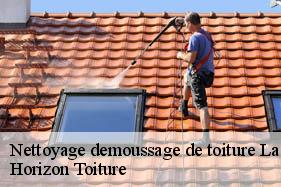 Nettoyage demoussage de toiture la-ferte-chevresis-02270 Horizon Toiture