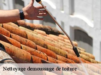 Nettoyage demoussage de toiture