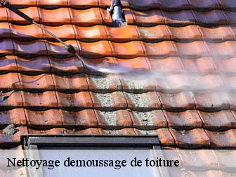 Nettoyage demoussage de toiture