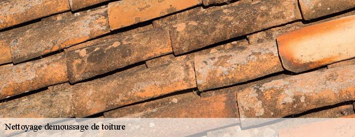 Nettoyage demoussage de toiture  02420