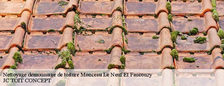 Nettoyage demoussage de toiture  02270