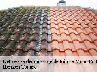 Nettoyage demoussage de toiture