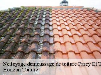 Nettoyage demoussage de toiture