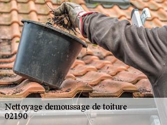 Nettoyage demoussage de toiture 02190