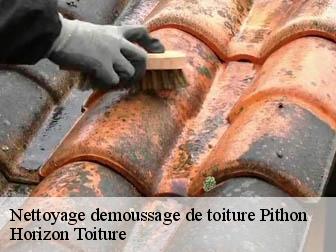 Nettoyage demoussage de toiture 02480