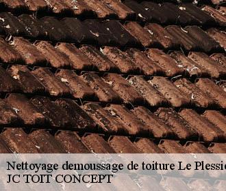 Nettoyage demoussage de toiture  le-plessier-huleu-02210 JC TOIT CONCEPT