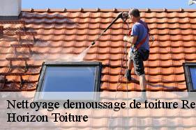 Nettoyage demoussage de toiture remigny-02440 Horizon Toiture
