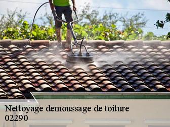 Nettoyage demoussage de toiture