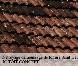 Nettoyage demoussage de toiture  saint-gengoulph-02810 JC TOIT CONCEPT