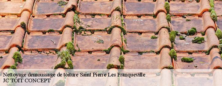 Nettoyage demoussage de toiture  02140