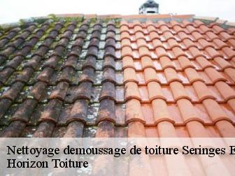 Nettoyage demoussage de toiture