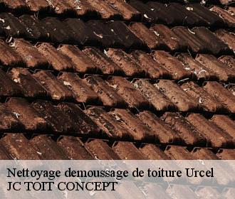 Nettoyage demoussage de toiture  urcel-02000 JC TOIT CONCEPT
