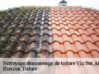 Nettoyage demoussage de toiture