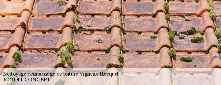 Nettoyage demoussage de toiture  02340