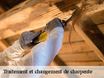 Traitement et changement de charpente  02320