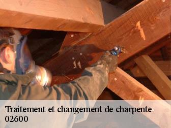 Traitement et changement de charpente  02600