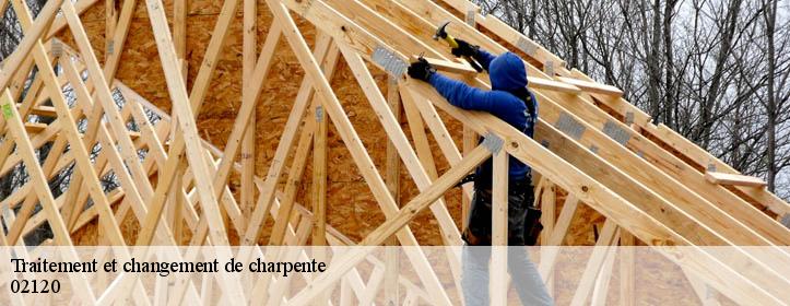 Traitement et changement de charpente  02120