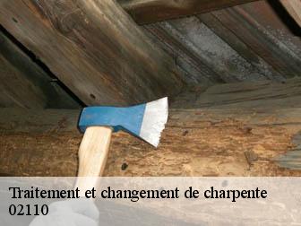 Traitement et changement de charpente 02110
