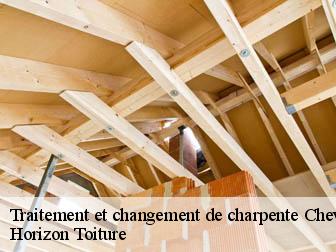 Traitement et changement de charpente