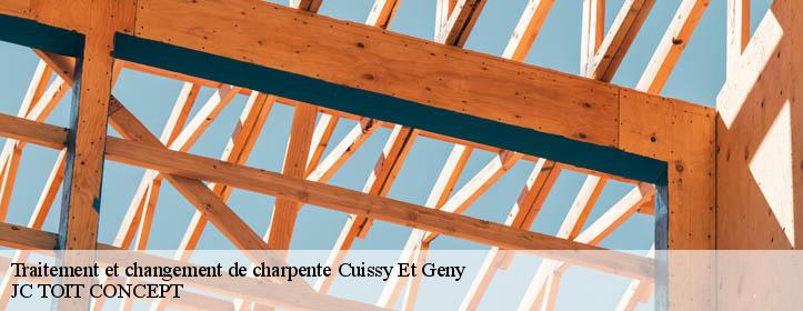Traitement et changement de charpente  02160