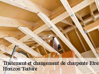 Traitement et changement de charpente