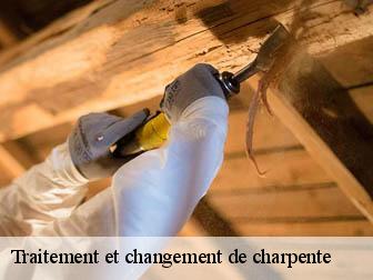 Traitement et changement de charpente 02140