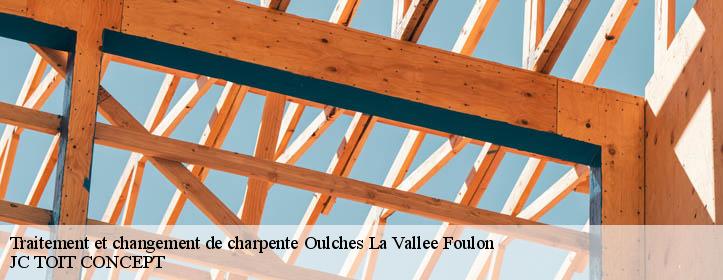 Traitement et changement de charpente  02160