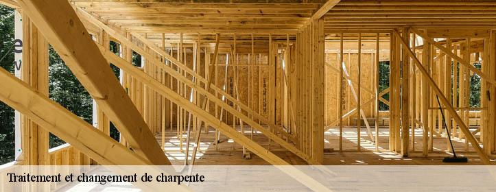Traitement et changement de charpente  02310