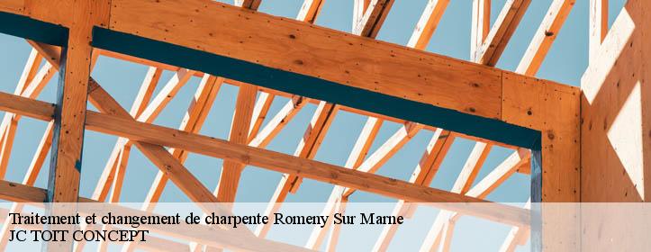 Traitement et changement de charpente  02310