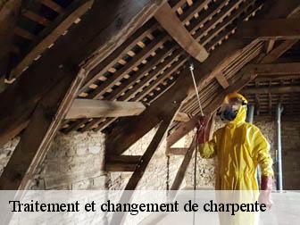 Traitement et changement de charpente