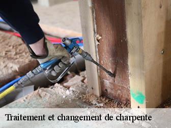 Traitement et changement de charpente