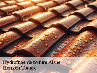 Hydrofuge de toiture 02 Aisne Horizon Toiture