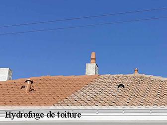 Hydrofuge de toiture