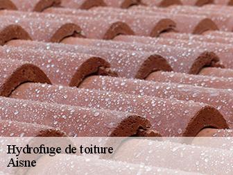 Hydrofuge de toiture