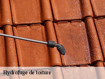 Hydrofuge de toiture