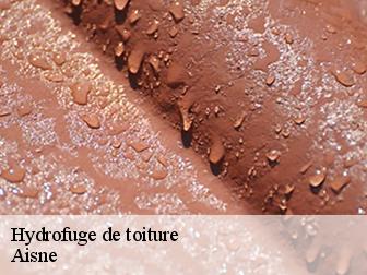 Hydrofuge de toiture Aisne