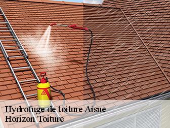 Hydrofuge de toiture Aisne