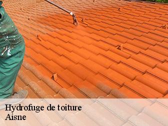 Hydrofuge de toiture Aisne