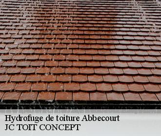 Hydrofuge de toiture  abbecourt-02300 JC TOIT CONCEPT