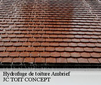 Hydrofuge de toiture  ambrief-02200 JC TOIT CONCEPT