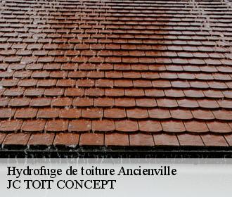 Hydrofuge de toiture  ancienville-02600 JC TOIT CONCEPT