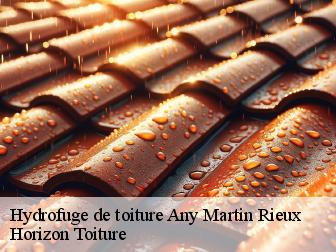 Hydrofuge de toiture any-martin-rieux-02500 Horizon Toiture