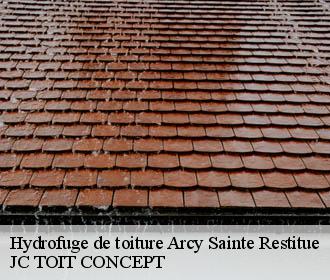 Hydrofuge de toiture  arcy-sainte-restitue-02130 JC TOIT CONCEPT