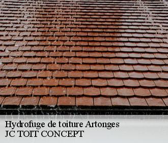Hydrofuge de toiture  artonges-02330 JC TOIT CONCEPT