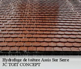 Hydrofuge de toiture  assis-sur-serre-02270 JC TOIT CONCEPT