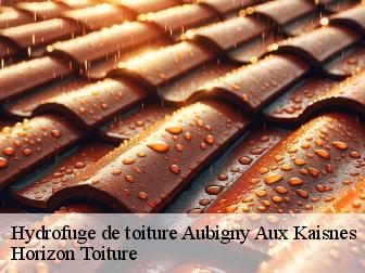 Hydrofuge de toiture aubigny-aux-kaisnes-02590 Horizon Toiture