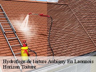 Hydrofuge de toiture 02820