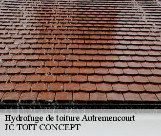 Hydrofuge de toiture  autremencourt-02250 JC TOIT CONCEPT