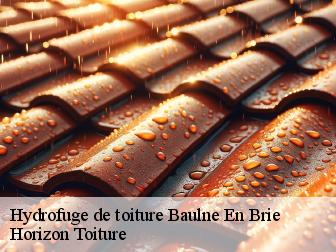 Hydrofuge de toiture baulne-en-brie-02330 Horizon Toiture