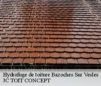 Hydrofuge de toiture  bazoches-sur-vesles-02220 JC TOIT CONCEPT